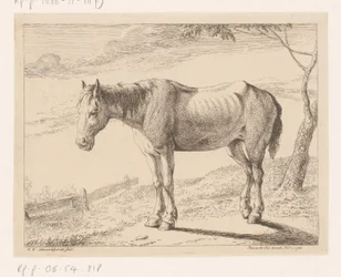 Horse (Various Animals series)