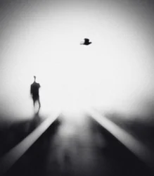 Solitary Man Flying Bird