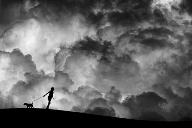 Stormy Sky Dog Walk