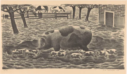Sow with Eight Piglets