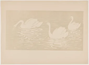 The Swans