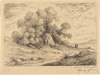 Stand of Trees with Rocks