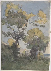 Landscape