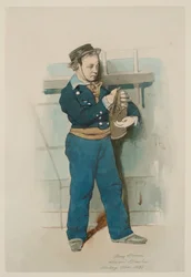 Young Midshipman