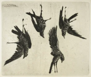 The Four Dead Ravens