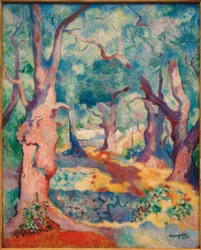 The Olive Trees at Cavalière