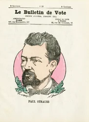 Ballot 2nd series, Satirical in Colors: Strauss Paul