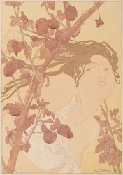 In the Brambles