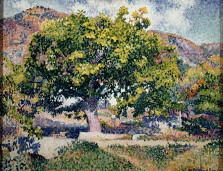 Near my House, 1906