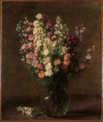 Larkspur