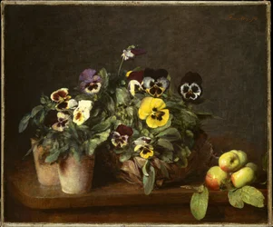 Still Life with Pansies