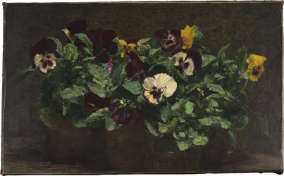 Still Life with Pansies