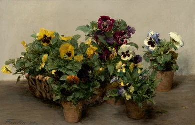 Pansies, 1874