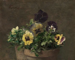 Potted Pansies, 1883