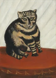 The Tabby