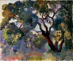 Landscape in Saint-Tropez
