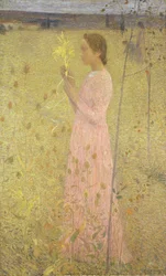 Harmony, 1894