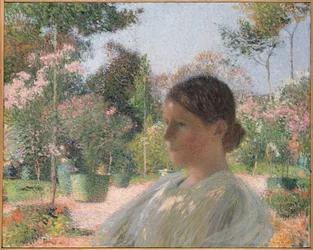 In the Garden