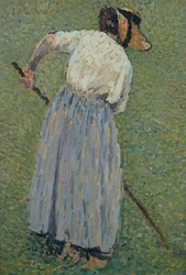 The Haymaker