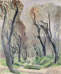 Avenue of Olive Trees
