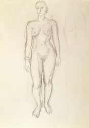 Study of a Nude