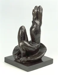 Venus in a Shell I
