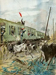 A Train Attacked by a Herd of Bulls, 1895
