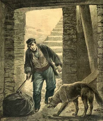 Discovery of a female corpse