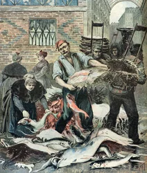 Fish Market in Paris