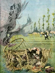 The Hal Disaster, 1895