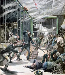 The incident at the menagerie, Montceau-les-Mines, France