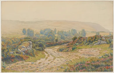 Mist and Dew. Heathlands of Pors Léonnec. Morgat