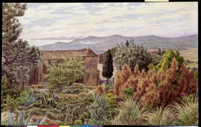 Landscape. Drawing by Henri Riviere