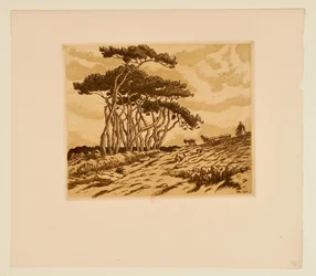 [Pines, Shepherdess and Flock]