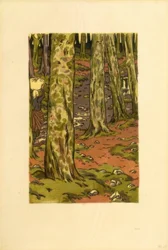 Washing Place in the Woods at Loguivy