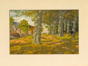 The Beech Woods at Kerzadern