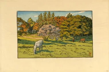 Little Wood with Beret (Douarnenez)