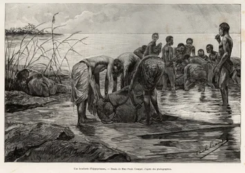A hippo butcher shop on the banks of a Central African river. Engraving by Henri Thiriat to illustrate the story 