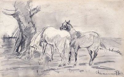 Horses