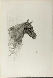 Philibert the Pony