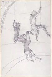 The Flying Trapeze