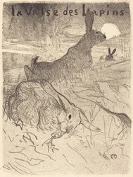 The Waltz of the Rabbits
