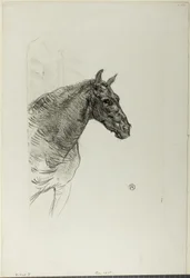 Philibert the Pony