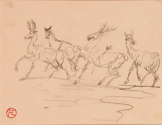 Stags and Hinds