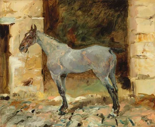 Tethered Horse