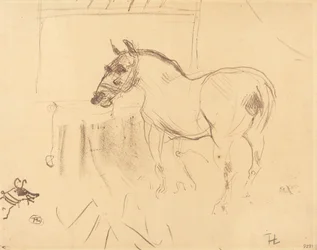 The Small Pony from Calmese