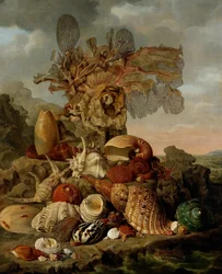 Shells and Marine Plants