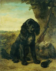 A Flat Coated Retriever by a Tree