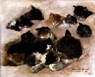 Study of Cats and Kittens