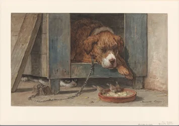 Cat Spies Birds near a Sleeping Dog